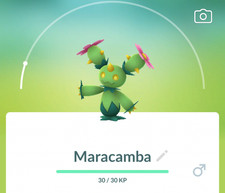 Pokemon maracamba 0556 - go,