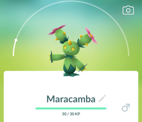 Pokemon maracamba 0556 - 👻pokemon,