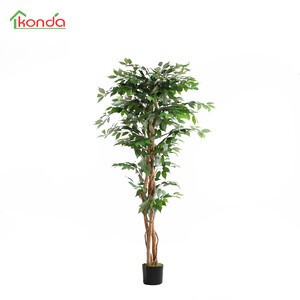 Pianta ficus artificiale 180 - pianta,