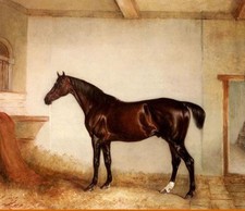 Quadro olio Dream-art