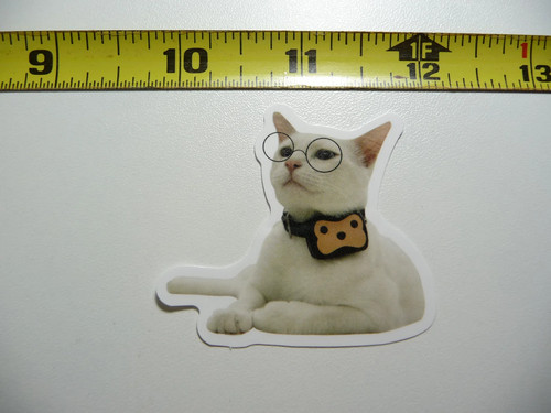 Say old chap occhiali gatto - chap,