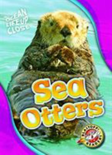 Sea otters sommer nathan - sea, sommer,