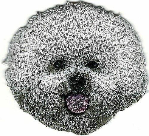 Bichon frise toppa per cani - toppa,