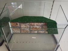 Tartarughiera in Vetro con