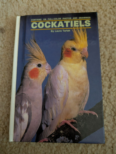 Cockatiels laura tartak - laura, m.