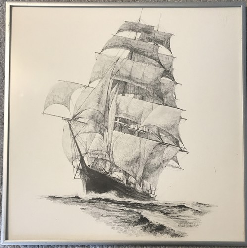 Robert winter cato - cato, disegno