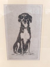 STAMPA DECORATIVA ANNI 50-60 IN CORNICE ORIGINALE