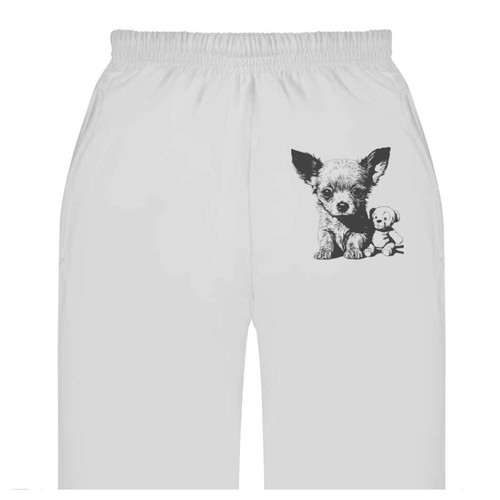 Chihuahua puppy with teddy - 'chihuahua, teddy'