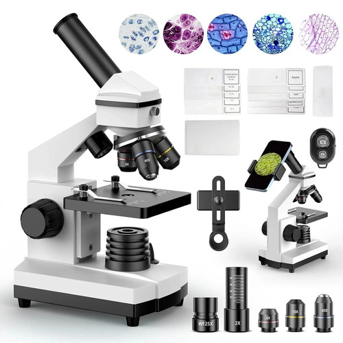 Microscopio composto - ,
