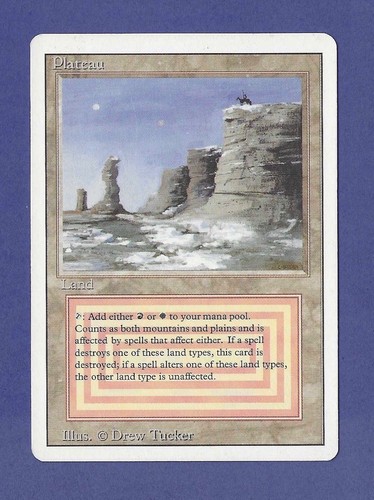 Magic the gathering - the,