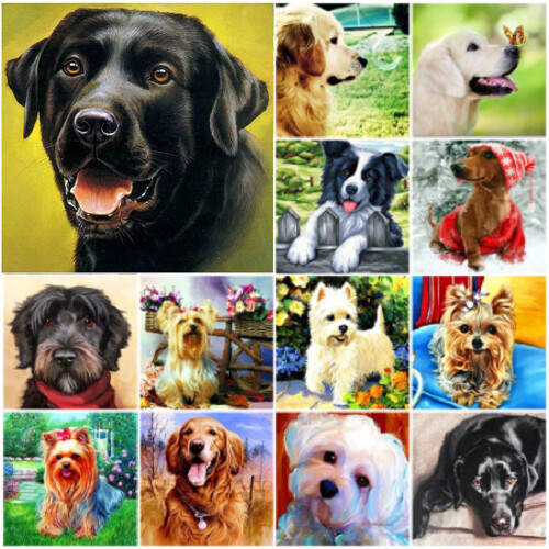 Quadro cane animale - , 5d