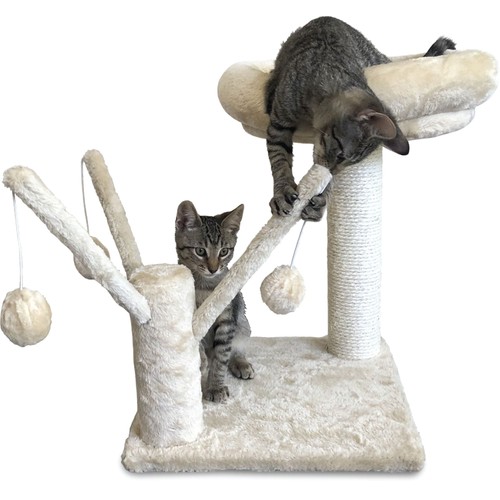 Tiragraffi per gatti gattino - per,