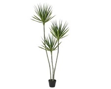 Pianta di Yucca Artificiale