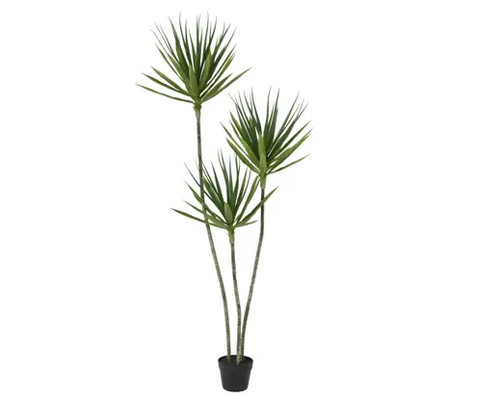 Pianta yucca artificiale - pianta,