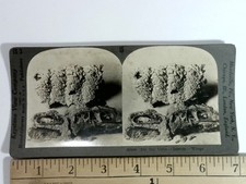 Keystone View Co. Stereoview