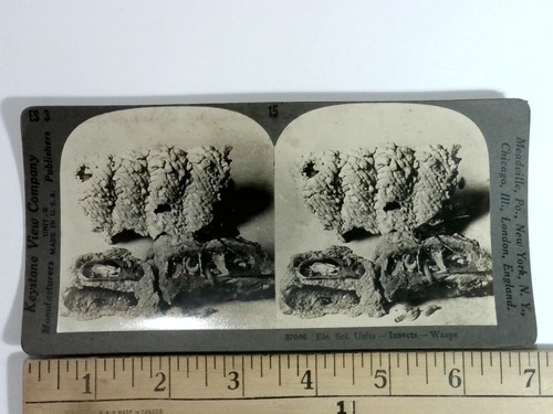 Keystone view stereoview - view,
