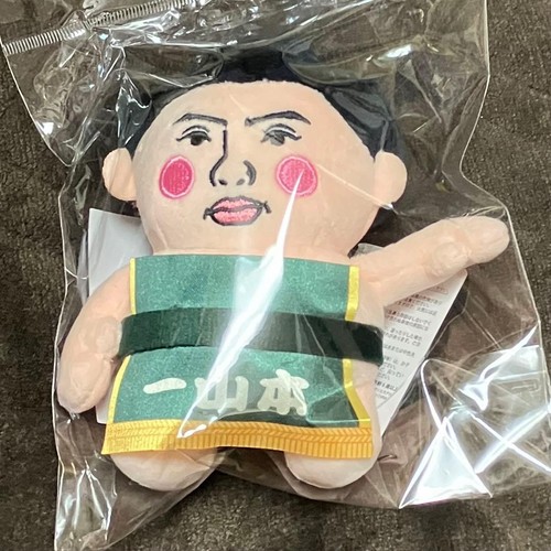 Sumo wrestler ichiyamamoto - sumo,