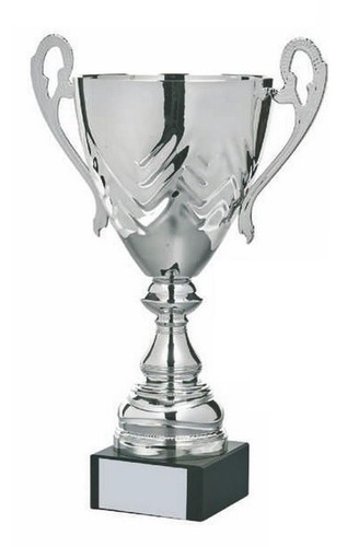 Trofeo coppa personalizzato - trofeo,