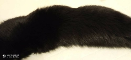 Collo con manicotti volpe - , nera