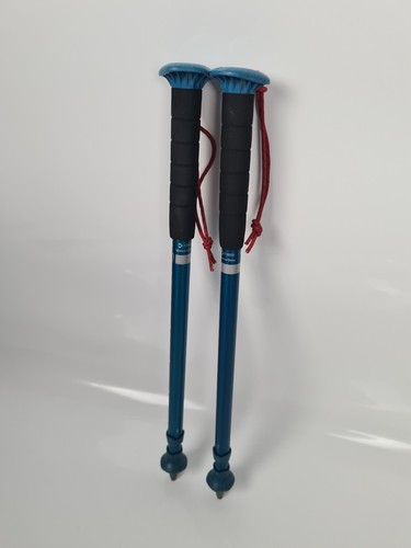 Quechua arpenaz 100 bastoncini - arpenaz,