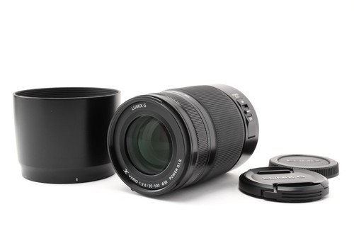 2971021 panasonic lumix x - lumix, g