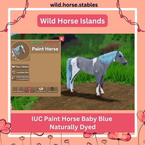Wild horse islands iuc - horse,