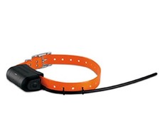 Garmin DC40 Collare di