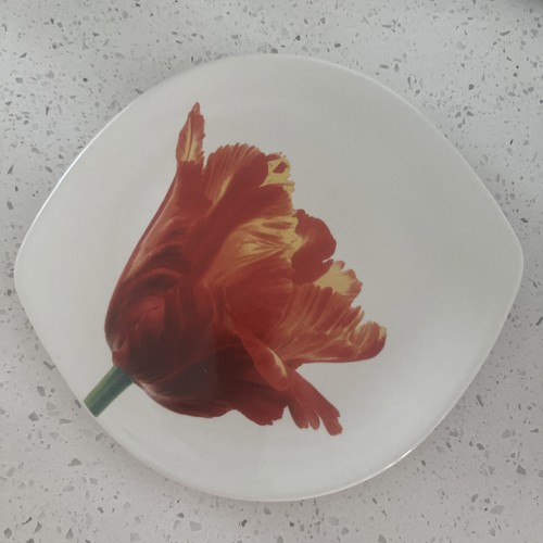 Nuovo ceramica due torri - torri, 10