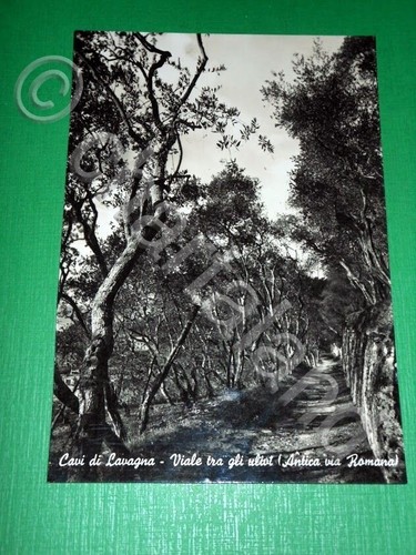 Cartolina cavi lavagna - cartolina,