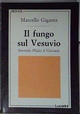 Marcello gigante IL FUNGO SUL
