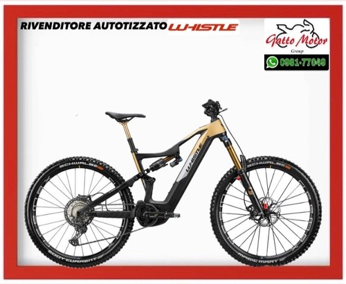 Bici elettrica ebike mtb - bici,