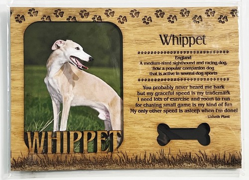 Whippet calamita per cornice - whippet,