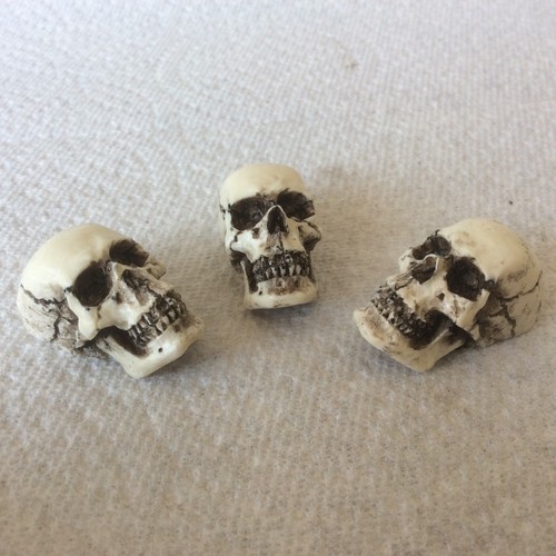 Manopola accordatura skull - manopola,