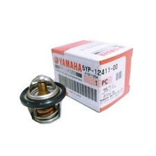 Termostato Cilindro Originale