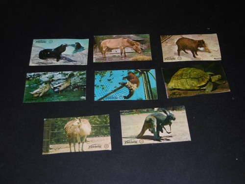Figurine diverse album zoo - 8,