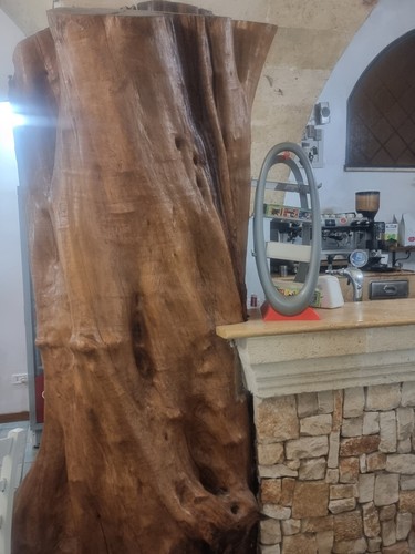 Attrezzature arredamento bar - e,