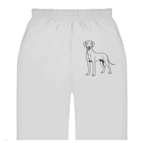 Pantaloni della tuta joggers - pantaloni, tuta/joggers