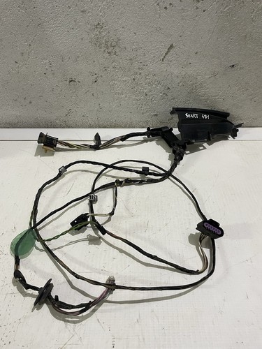 Cablaggio elettrico porta - cablaggio,