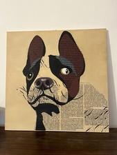 Armando Testa, Cane strabico, serigrafia a 12 colori, 1967, es. 160/500