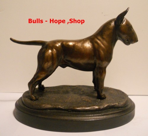 Bull terrier inglese - bull,