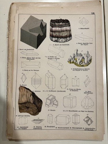 Stampa antica incisione 1888