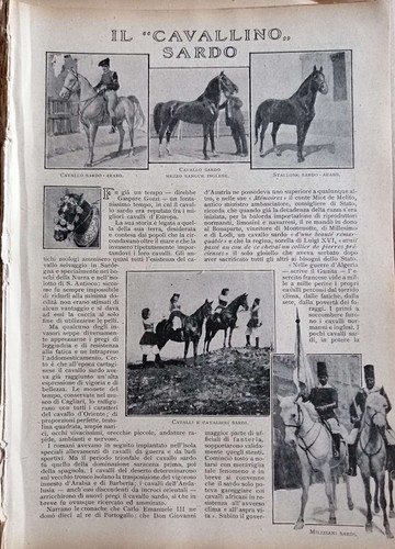 Licio ozieri il - -,