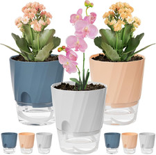 6 Pezzi Vasi Autoirriganti