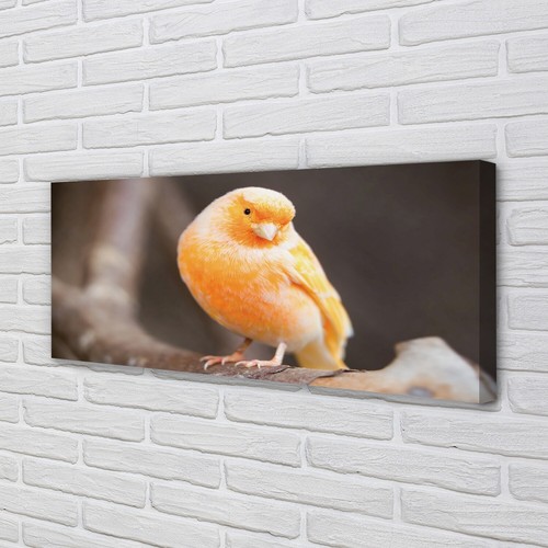 Quadro tela tulup - su,