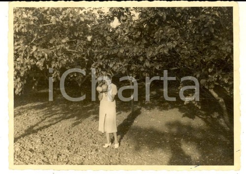 1937 aoi genale - aoi,