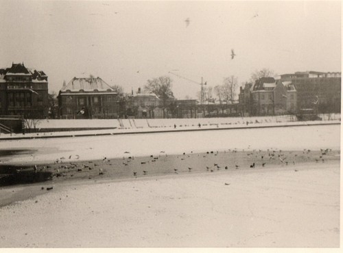 Foto frankfurt main - main,, 1952