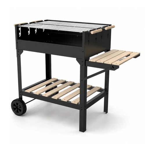 Barbecue carbone con ripiano - carbone,
