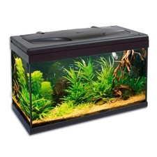 MTB Acquari Aloha 60 LED 6 w