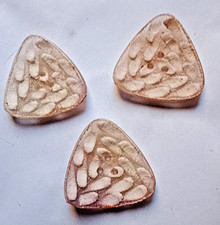 gruppo 3 * BOTTONE ANTICO