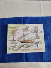Quadro Dei Nodi 30 X 23 Senza